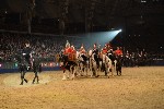 Cavalry - 00355